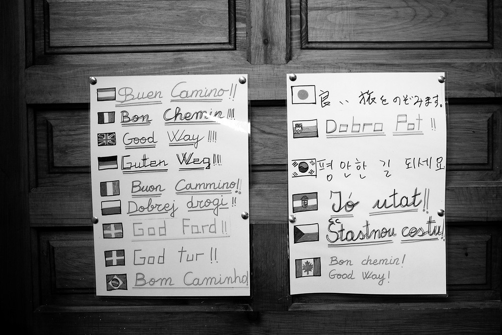 ¡Buen-camino!-web_01